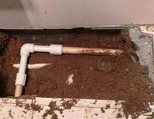 献县测漏水哪家好